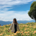 Travel Guide to Exploring Northern Blossom Flower Farm in Atok