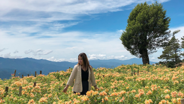 Travel Guide to Exploring Northern Blossom Flower Farm in Atok