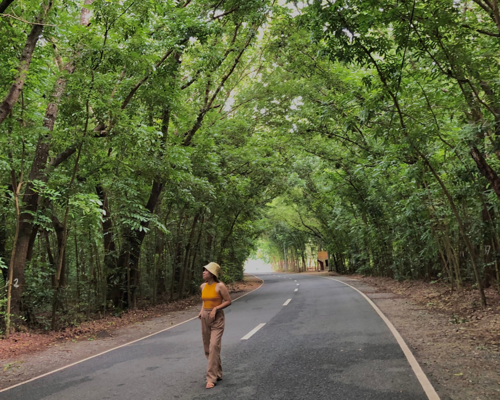 la union man-made forest